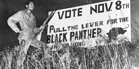 lowndes county and the road to black power