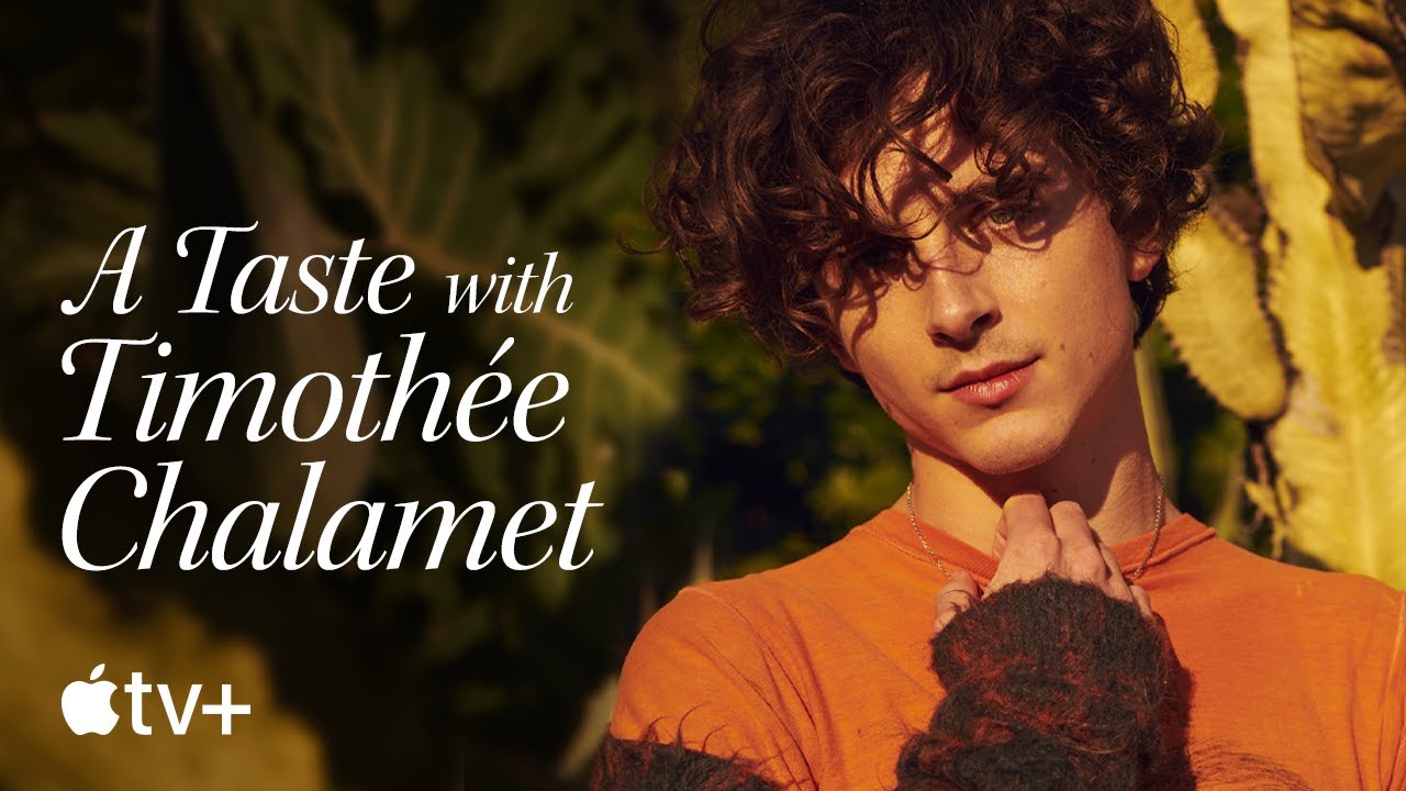 Even in 2020, Timothée Chalamet Brought Style to Everything He Did