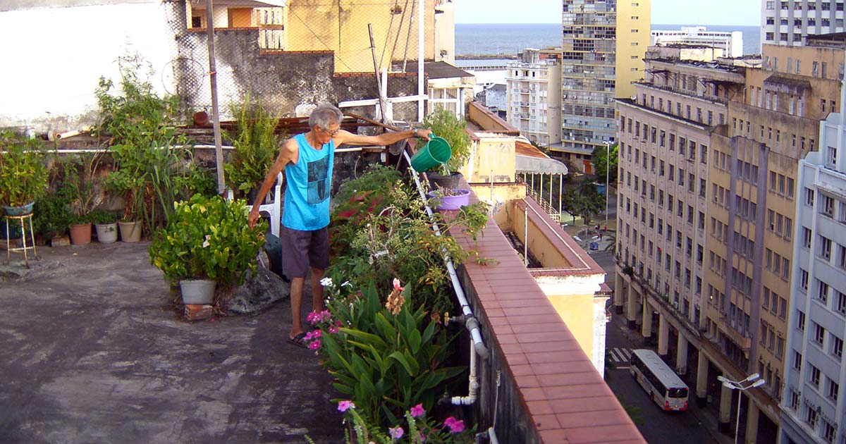 Críticos  FESTIVAL DO RIO 2014: RESENHAS