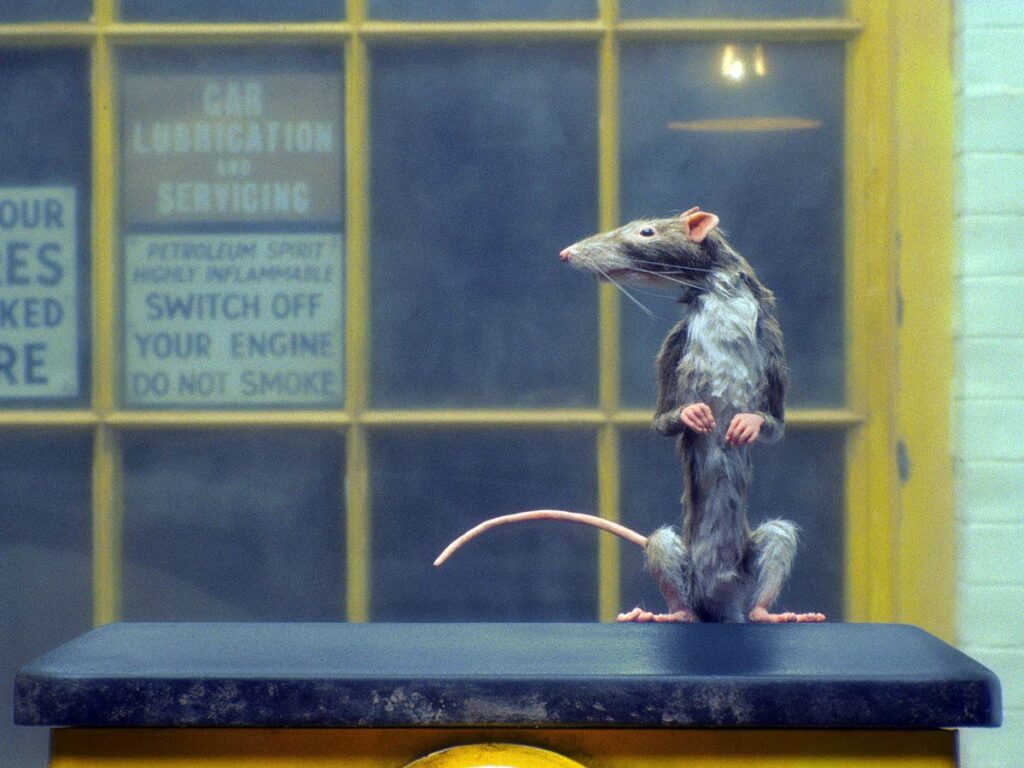 The Ratcatcher, Wes Anderson
