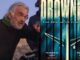 drowning paul greengrass