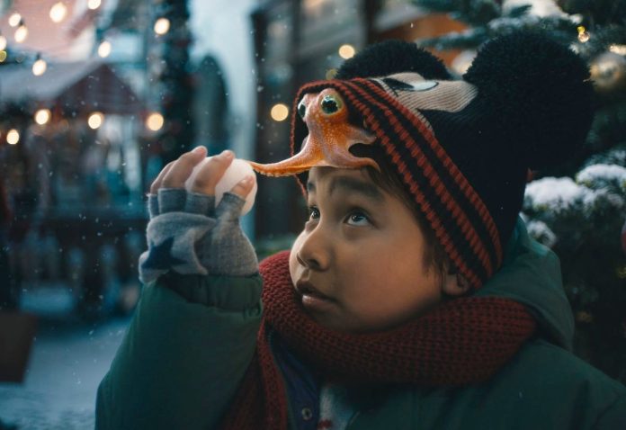 the boy and the octopus (1)