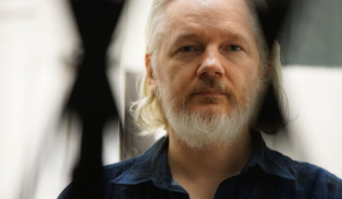 Julian Assange, The Six Billion Dollar Man