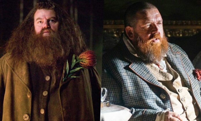 'Harry Potter': Nick Frost Nearing Deal To Play Rubeus Hagrid In Reboot Series
