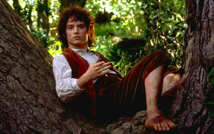 Frodo, The Hunt of Gollum