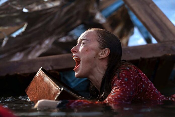 ‘Thrash’ Trailer: Tommy Wirkola’s Netflix Shark Thriller Throws Phoebe Dynevor Into A Category 5 Nightmare