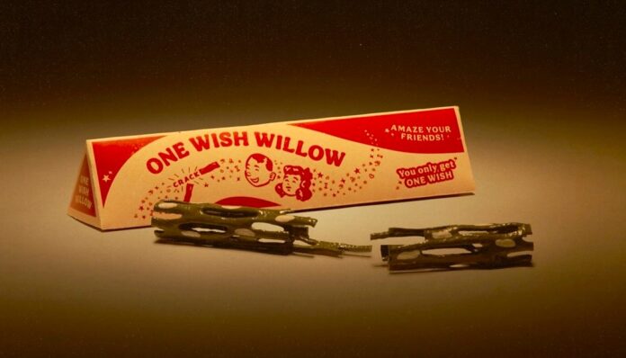 Curry Barker, One Wish Willow, Obsession