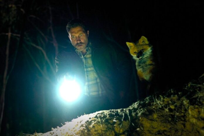 The Fox, Jai Courtney, Olivia Colman, Emily Browning