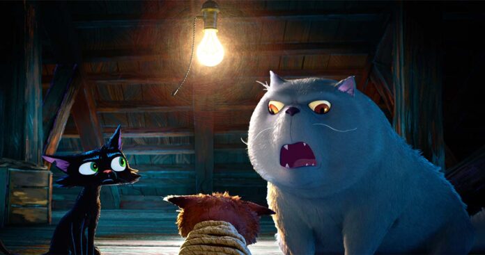 Gato, Pixar