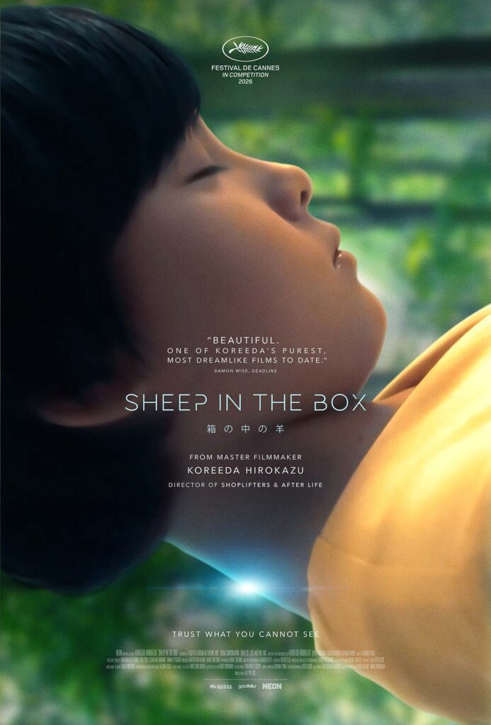Sheep In The Box, 