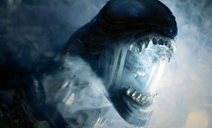 ‘Alien: Romulus’: 20th Century Studios President Dunks On Rumor That Sequel Has Been Shelved