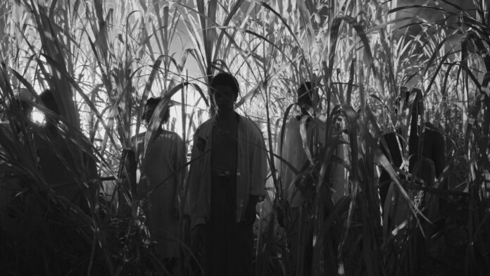 Black Zombie still